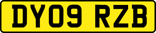 DY09RZB
