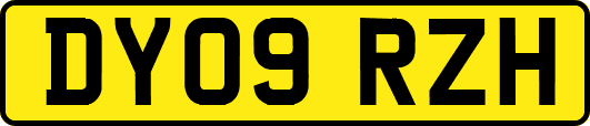 DY09RZH