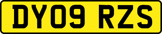 DY09RZS
