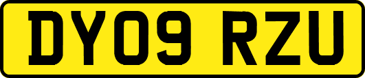 DY09RZU