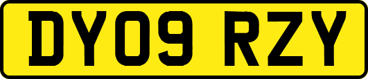 DY09RZY