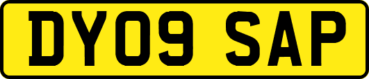DY09SAP