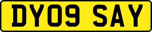 DY09SAY