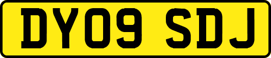 DY09SDJ