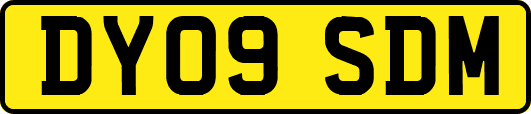 DY09SDM