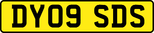 DY09SDS