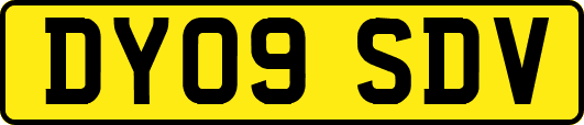DY09SDV