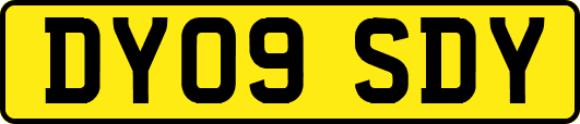DY09SDY
