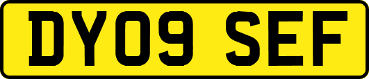 DY09SEF