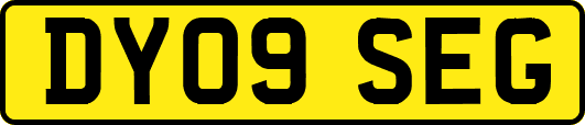 DY09SEG