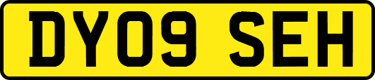 DY09SEH