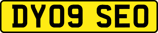 DY09SEO