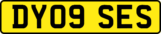 DY09SES