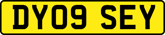 DY09SEY