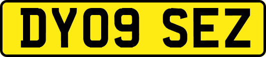 DY09SEZ