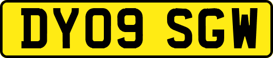 DY09SGW