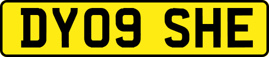 DY09SHE