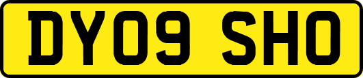 DY09SHO