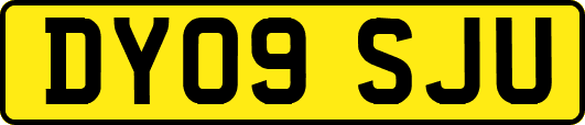DY09SJU