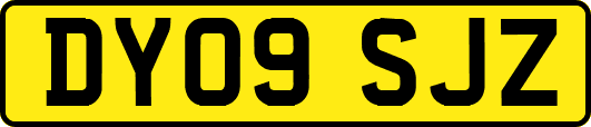 DY09SJZ