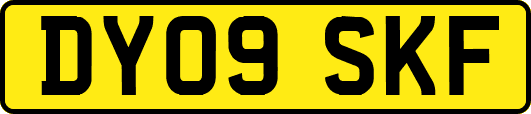 DY09SKF