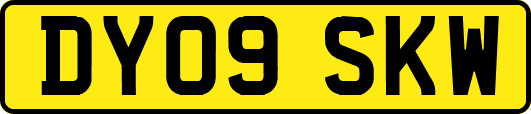 DY09SKW