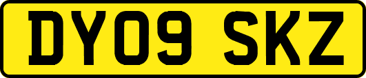 DY09SKZ