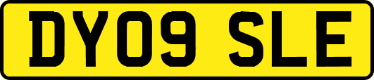 DY09SLE