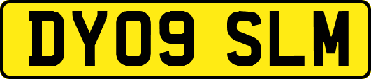 DY09SLM