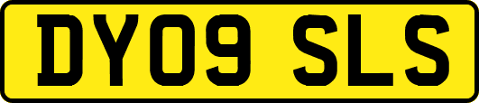 DY09SLS