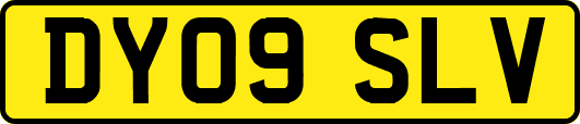 DY09SLV