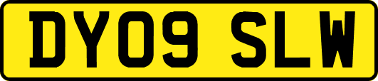 DY09SLW