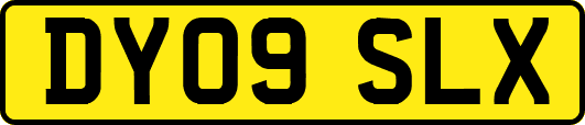 DY09SLX