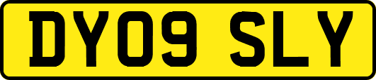 DY09SLY