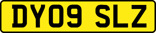 DY09SLZ