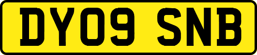 DY09SNB