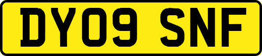 DY09SNF