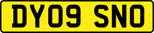 DY09SNO