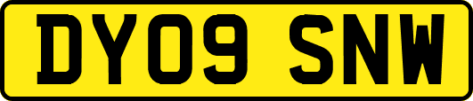 DY09SNW