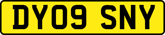 DY09SNY
