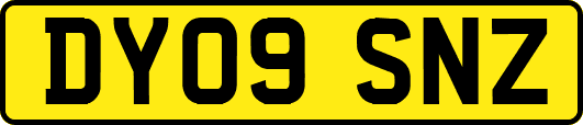 DY09SNZ