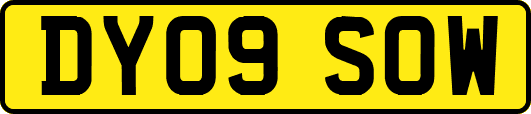 DY09SOW