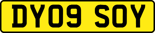 DY09SOY