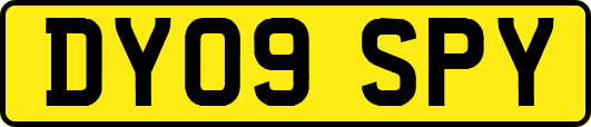 DY09SPY