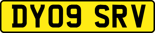 DY09SRV