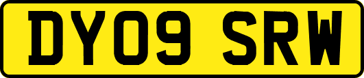 DY09SRW