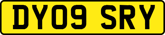 DY09SRY