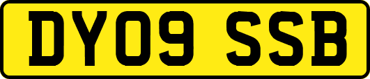 DY09SSB