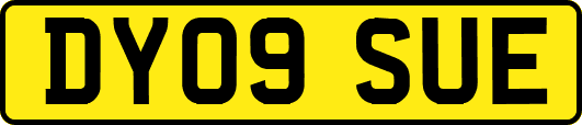 DY09SUE
