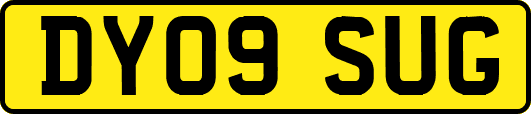 DY09SUG